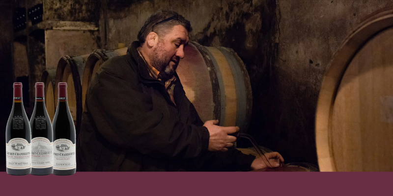 Au c&oelig;ur de Gevrey-Chambertin, le savoir-faire du Domaine Humbert Fr&egrave;res